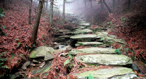 茶馬古道